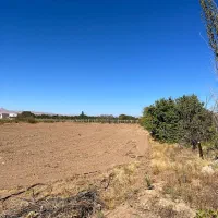 وقتش نیس زمینِ خودت رو داشته باشی