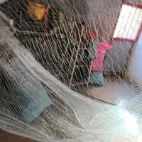 تور ماهیگیری 30 متری|ماهیگیری|دورود, |دیوار