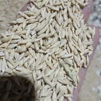 جو درج یک ابی بزری به شرت