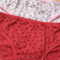 لباس زیر زنانه|لباس|گرگان, |دیوار