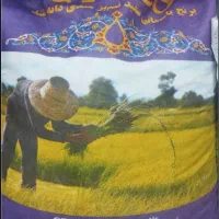 برنج هندیgtc