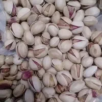 پسته فندوقی امسال اعلا|حراج|کرمان, |دیوار