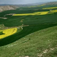 یه‌‌ راز بگو