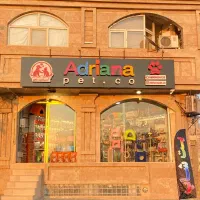 پت شاپ آدریانا