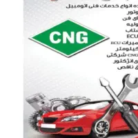 برق انژکتور ، تعمیرات CNG