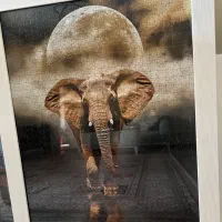 تابلو هنری پازلی|تابلو، نقاشی، عکس|تهران, تهران‌نو|دیوار