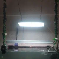 پلنت فروشی(آکواریوم)به صورت یکجا