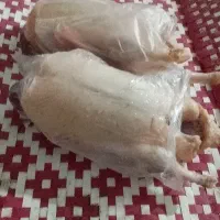 مرغ و اردک پرکنده موجوده
