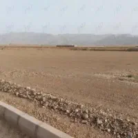 زمین گوسفندی