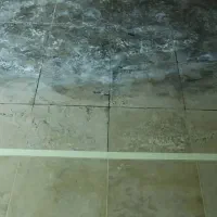 کف سابی سنگ سابی موزاییک جرم گیری مواد شویی|خدمات نظافت|رشت, سعدی (تختی)|دیوار