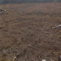 زمین حصار شده خواجه مرجان ۵۱۰ متر|فروش زمین و ملک کلنگی|صوفیان, |دیوار