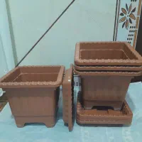 گلدان در حد نو|گل و گیاه طبیعی|هشترود, |دیوار