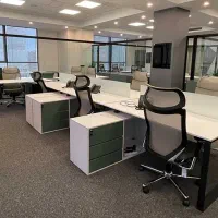 نیروی خدماتی خانم