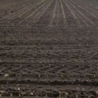 زمین-مزروعی-روستای-خلج