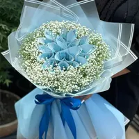 دسته گل پول|گل مصنوعی|مراغه, |دیوار