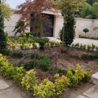 باغبانی،درختکاری و طراحی فضای سبز|خدمات باغبانی و درختکاری|صومعهسرا, |دیوار