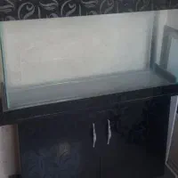 آکواریوم|ماهی|تهران, چهارصد دستگاه|دیوار