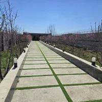 باغ-ویلا-810-متر-استخر-دوخواب-مستر-نگهبانی-سند