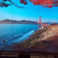 تلویزیون ۶۵ اینچ پاناسونیک اندروید 4k