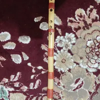 ساز نی