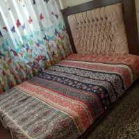تخت ۲نفره چوب راش|تخت و سرویس خواب|تهران, تهرانپارس غربی|دیوار