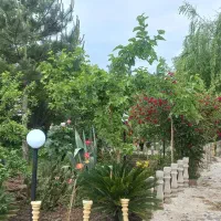 اجاره روزانه ویلاباغ۳۰۰متری رشت مجردخانواده سوییت|اجارهٔ کوتاهمدت ویلا و باغ|رشت, حومه رشت|دیوار