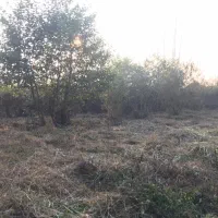 ۷۰۰متر زمین موروثی نزدیک بافت|فروش زمین و ملک کلنگی|عباس‌آباد, |دیوار