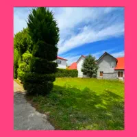 زمین قابل ساخت وسرمایه گذاری /سنددار / کل 800م