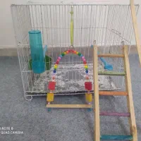 قفس پرنده