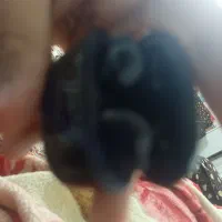 ارپاد بهترین کیفیت با مناسب ترین قیمت|لوازم جانبی موبایل و تبلت|شاهین‌شهر, شهرک گلدیس|دیوار