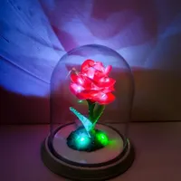 شب خواب ـ چراغ خواب|چراغ خواب و آباژور|قم, پردیسان|دیوار