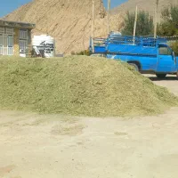 خرید فروش پرس یونجه و یونجه کوفته|عمدهفروشی|بانش, |دیوار