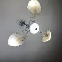 لوستر. سالم