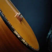 گیتار Dalahu با کاور|گیتار، بیس، امپلیفایر|بجنورد, |دیوار