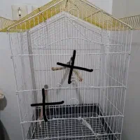 ملزومات پرنده