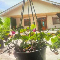 استخدام‌ سرایدار