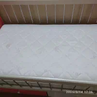 تخت خواب نوجوان و تخت کودک دخترانه|تخت و سرویس خواب|قم, بکایی|دیوار