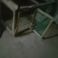 قفس بزرگ برای پرنده با کفتر پرشی معاوضه می کنیم