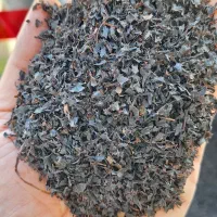 چای لاهیجان|خوردنی و آشامیدنی|لاهیجان, کوی خزر|دیوار