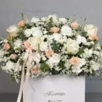 خاصترین ها|گل و گیاه طبیعی|قزوین, |دیوار