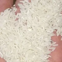 برنج هاشمی درجه یک