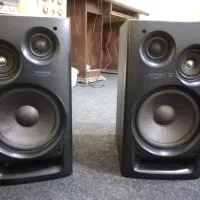 باند پایونر ژاپن خانگی