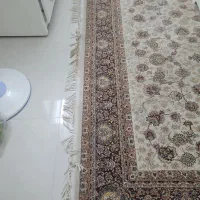 فرش ۷۰۰شانه ۶متری بهشتی شهر جم