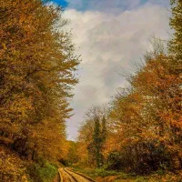 تور دو روزه گرگان و مازندران|تور و چارتر|سبزوار, پاسداران|دیوار