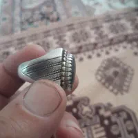 شجر زیبا