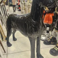 مجسمه سگ گریدین باکستر کنار سالنی|مجسمه، تندیس، ماکت|مشهد, توس (بلوار توس)|دیوار