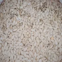 کدو خام تخمه|خوردنی و آشامیدنی|اصفهان, جی شیر|دیوار