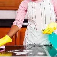 خدمتکار شبانه روزی منزل