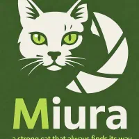 استخدام سناریو نویس