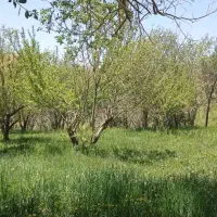 فروش باغ ثمری تفریحی|فروش زمین و ملک کلنگی|اصفهان, شاهزاده ابراهیم|دیوار